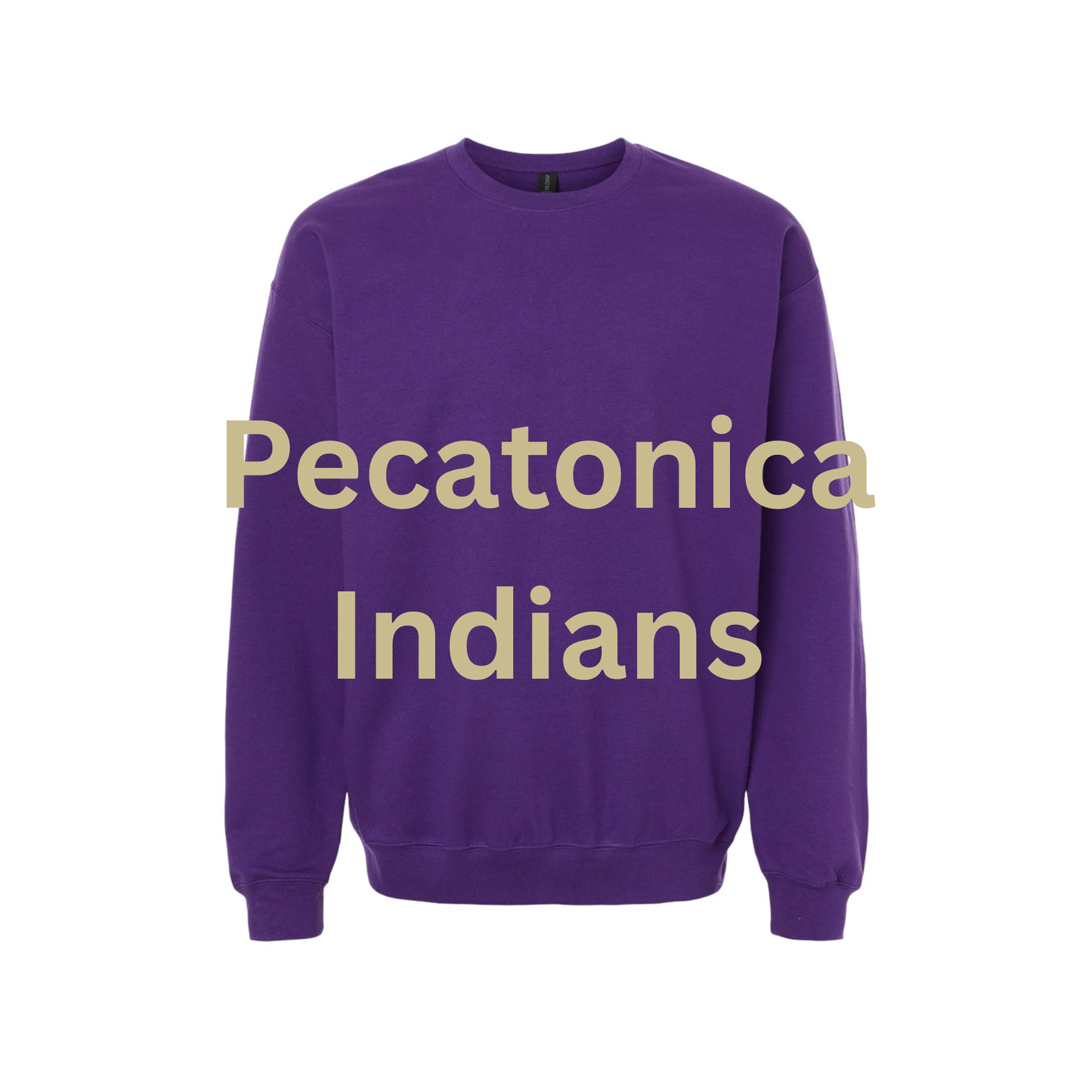 PRE-ORDER School Pride Back Crew Sweatshirt